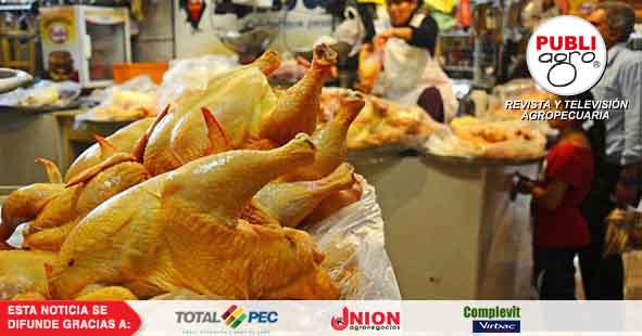 Sube el precio del pollo y lo atribuyen a mortandad por ola de calor y alza  del maíz - Publiagro