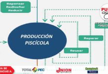 Economía circular y piscicultura