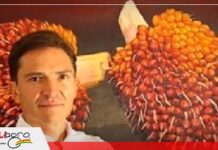 Colombia: Agroindustria de la palma de aceite logra cifras récord