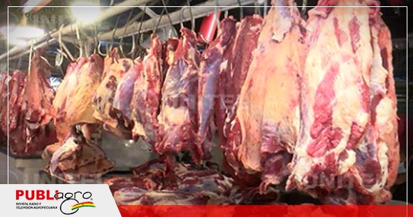 Precios de la carne en la ciudad de Santa Cruz se mantienen