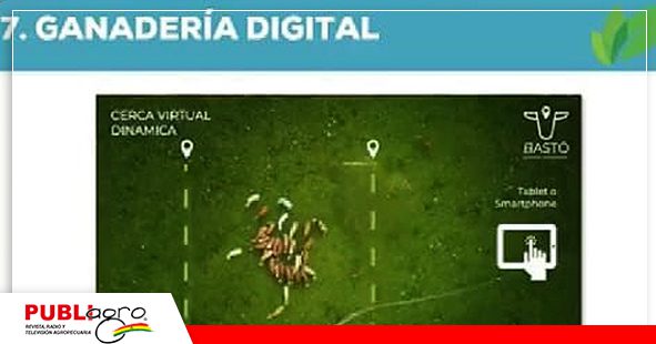 La ganadería digital y cercas virtuales se sugieren en este proceso. / Foto: Academia Rainbow Live 