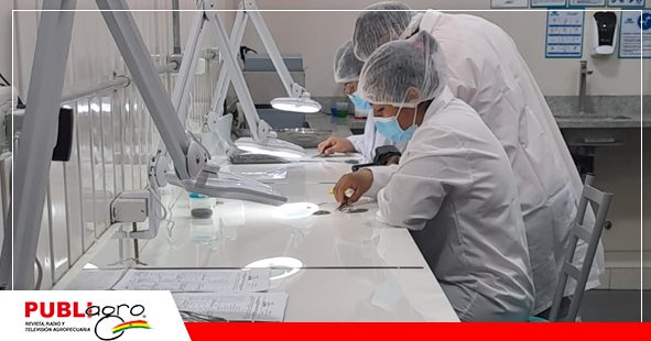 Área de laboratorio, donde realizan análisis de pureza Foto:Publiagro