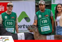 Cabaña Ovinos “Buen Retiro”, tiene proyectado seguir creciendo con animales de alta calidad y mejoramiento genético