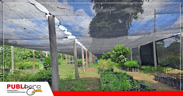 FOTOS DE NOTAS WEB2
