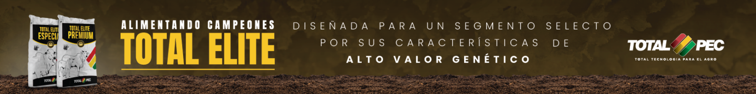 Climatizaci N Efectiva Para Broilers Mejora La Productividad Y