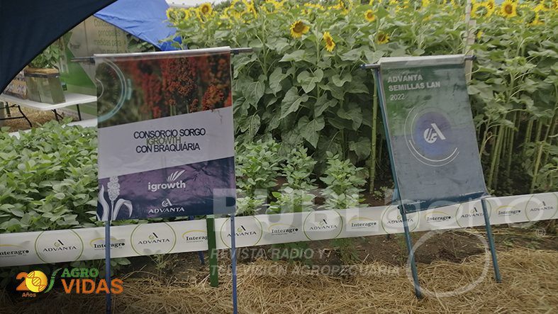 AGROVIDAS-INTERAGRO-2