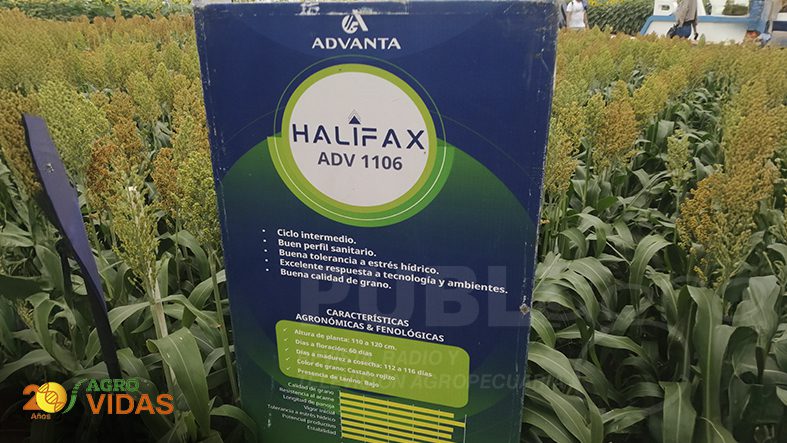 AGROVIDAS-INTERAGRO-5