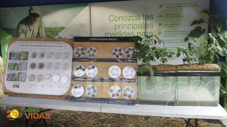 AGROVIDAS-INTERAGRO-6