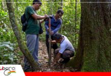 La Cámara Forestal de Bolivia reafirma su compromiso con la sostenibilidad y cuidado de los bosques