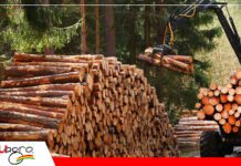 La industria maderera enfrenta desafíos y apunta a un cierre positivo este 2024