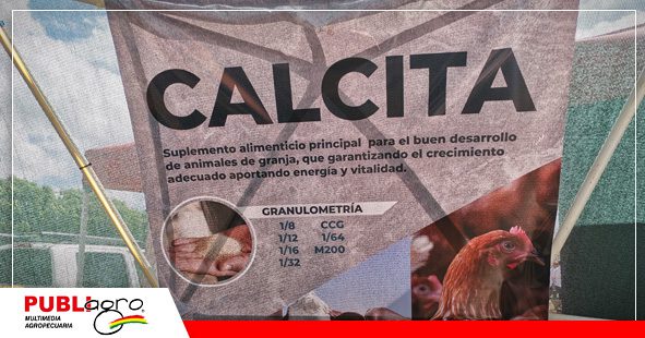 Calcita un suplemento alimenticio para aves/ Foto: Publiagro