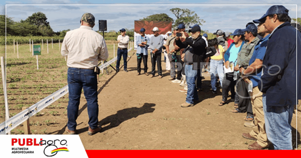 11 Foto: Publiagro