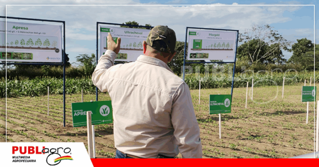 13 El uso adecuado de preemergentes fue una de las sugerencias de los técnicos de la compañia / Foto: Publiagro