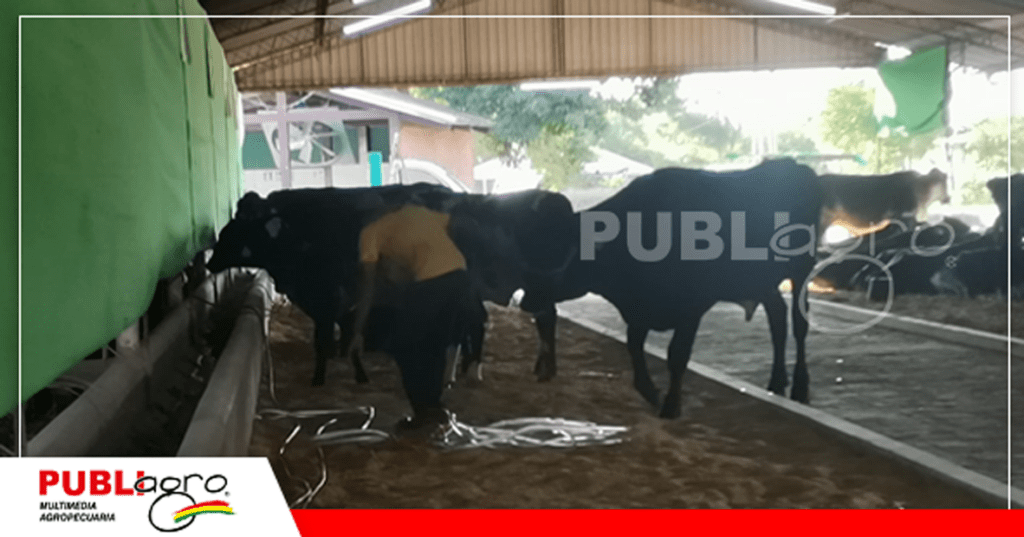 15 Animales que estarán en el shopping son preparados por los tratadores/ Foto: Publiagro