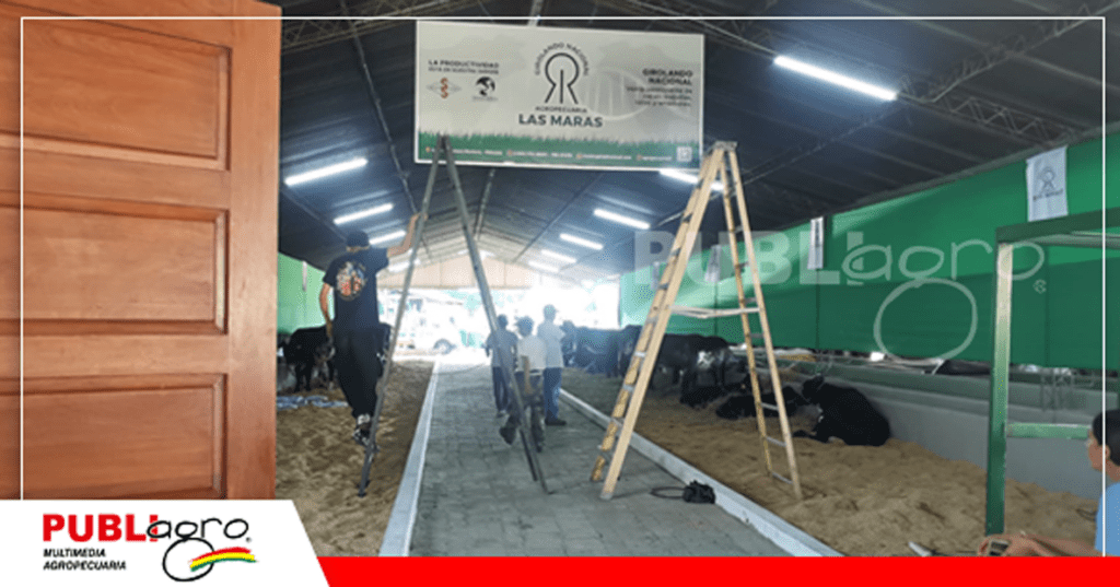 16 Preparan el escenario donde será el shopping de Las Maras/ Foto: Publiagro
