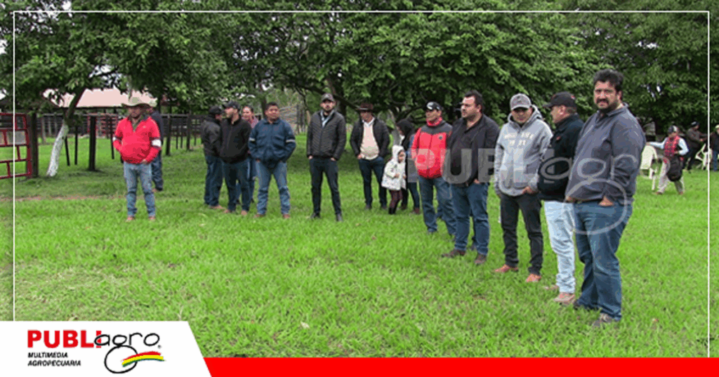 Foto: Publiagro