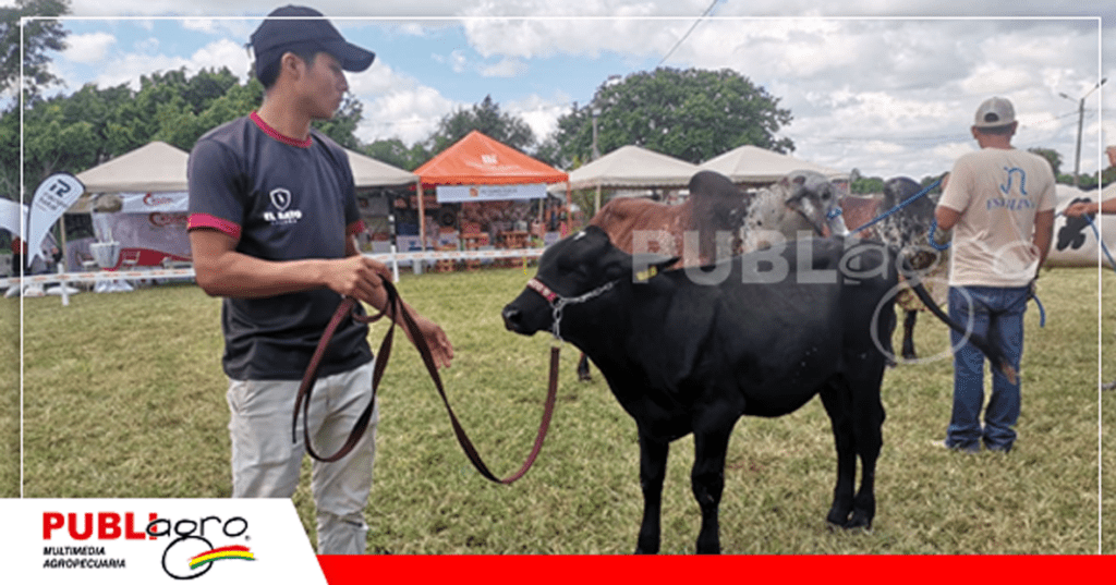 18 El torito más requerido del Shopping/ Foto: Publiagro