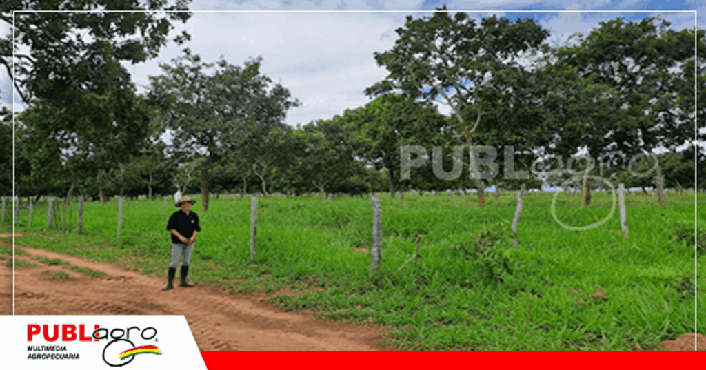 19 Foto: Archivo Publiagro