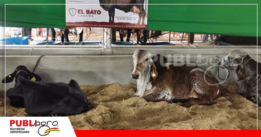19 El Bato también compartió sus animales/ Foto: Publiagro