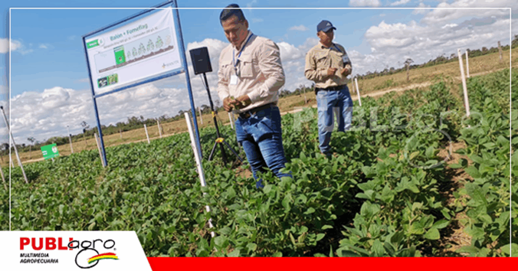 2 Foto: Publiagro