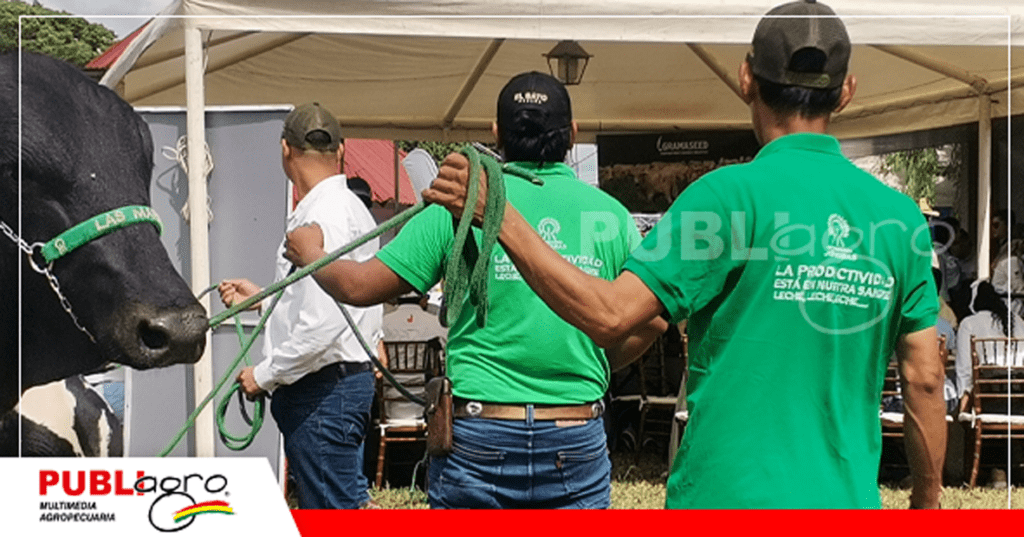 21 Personal de ambas cabañas mostrando los animales ofertados / Foto: Publiagro