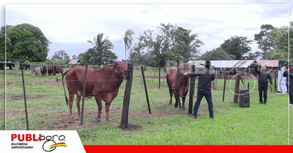 22 Foto: Publiagro