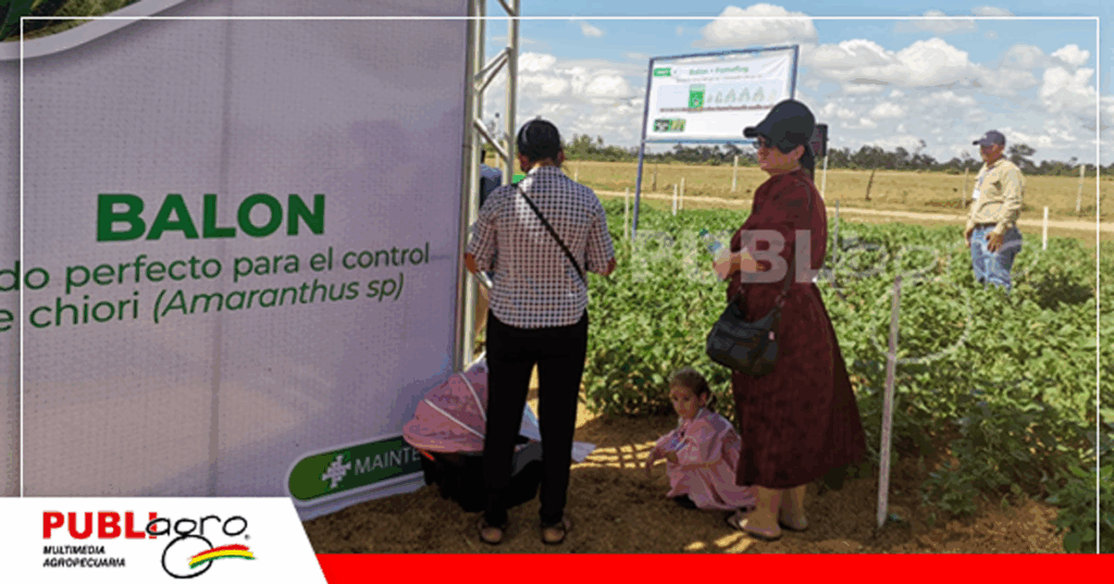 3 Foto: Publiagro