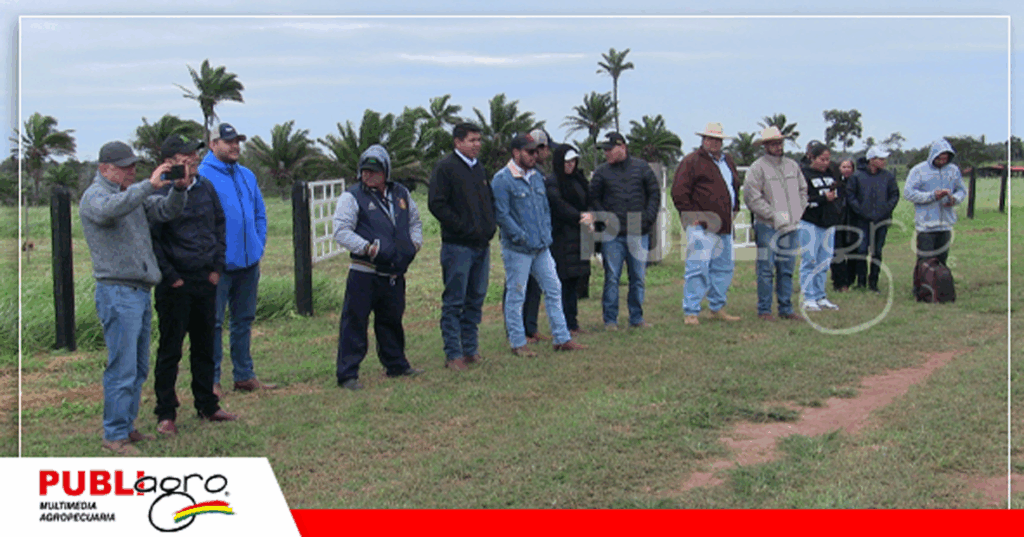 Foto: Publiagro