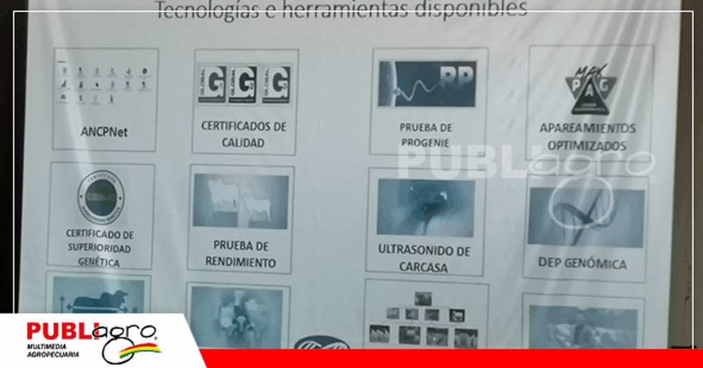 Tecnologías disponibles para evaluación de ganado bovino/ Foto: Publiagro