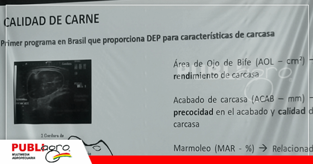 39 Evaluación según el propósito del ganadero/ Foto: Publiagro