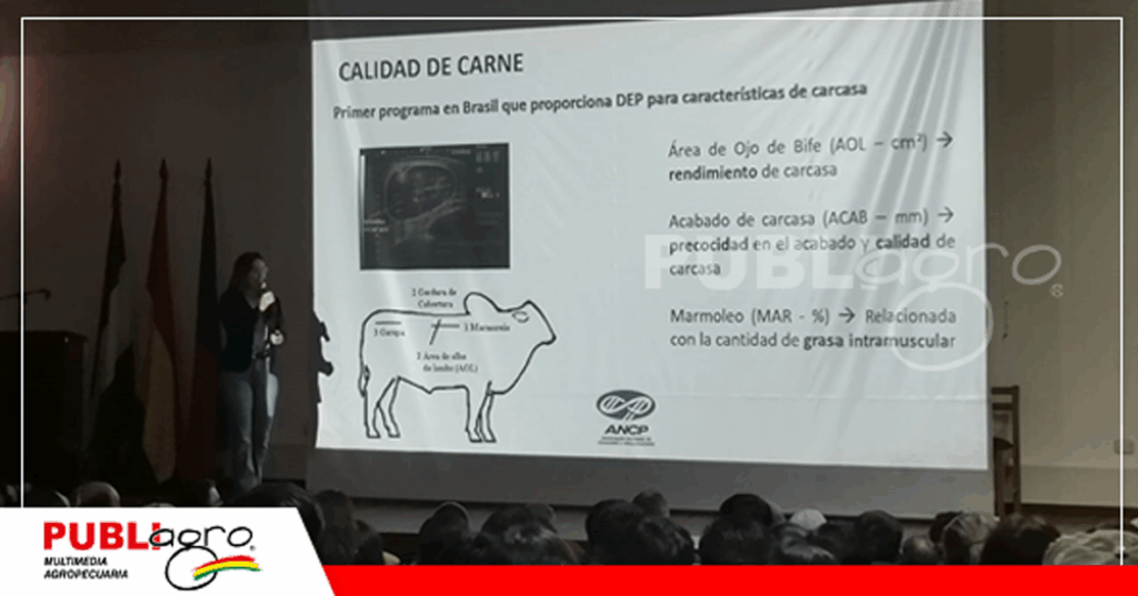Maria Paula Negreiros/ Foto: Publiagro