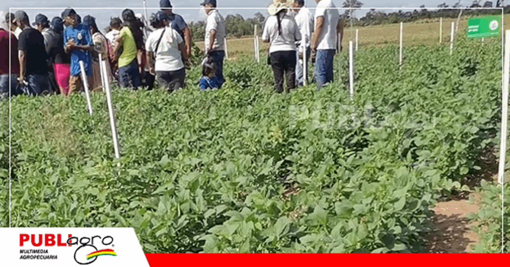 6 Foto: Publiagro