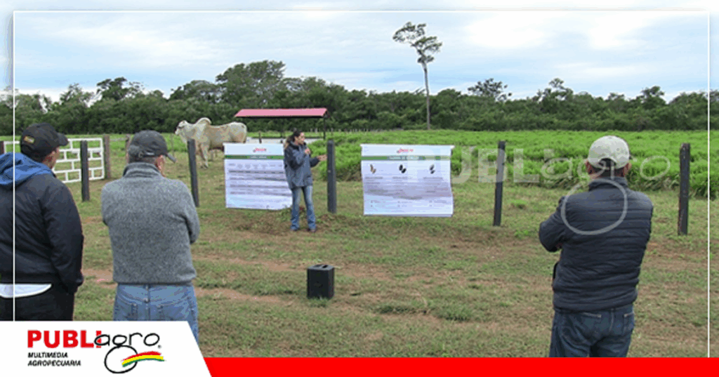 6 Foto: Publiagro