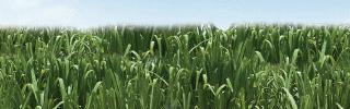 BANNER UNION 320x100
