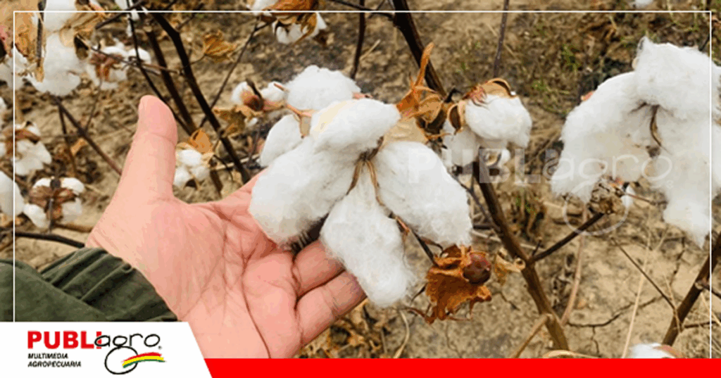 Foto: Ministerio Desarrollo Rural y Tierras