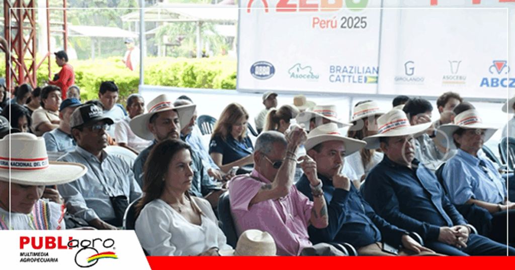 Foto: Asocebú