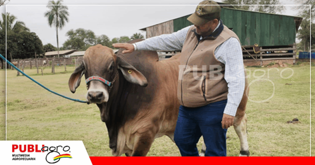 Este es un campeón de ferias/ Foto: Publiagro