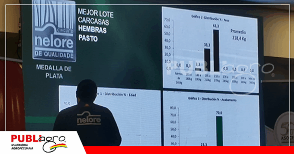 Resultado de la medición de los animales que se presentaron a las faena/ Foto: Publiagro