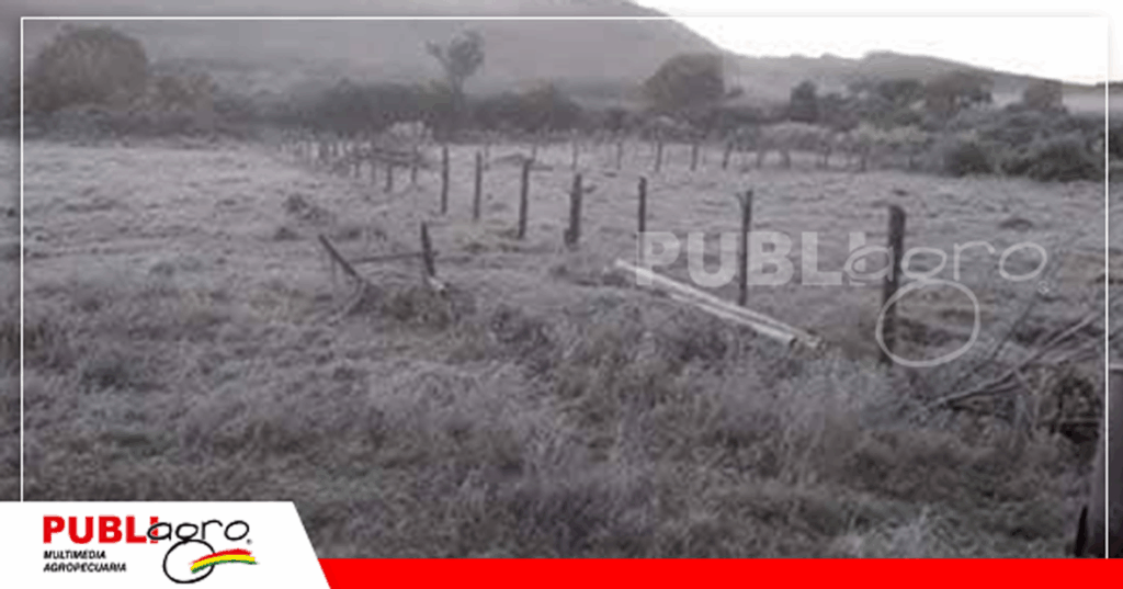 Foto: Noticias Villa Montes