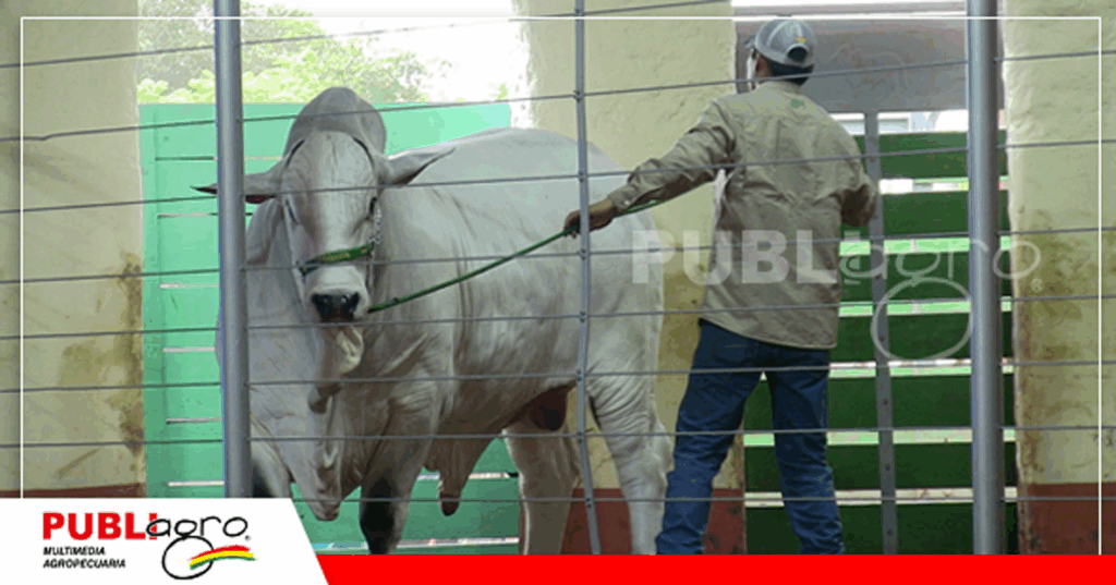 14 Foto: Publiagro