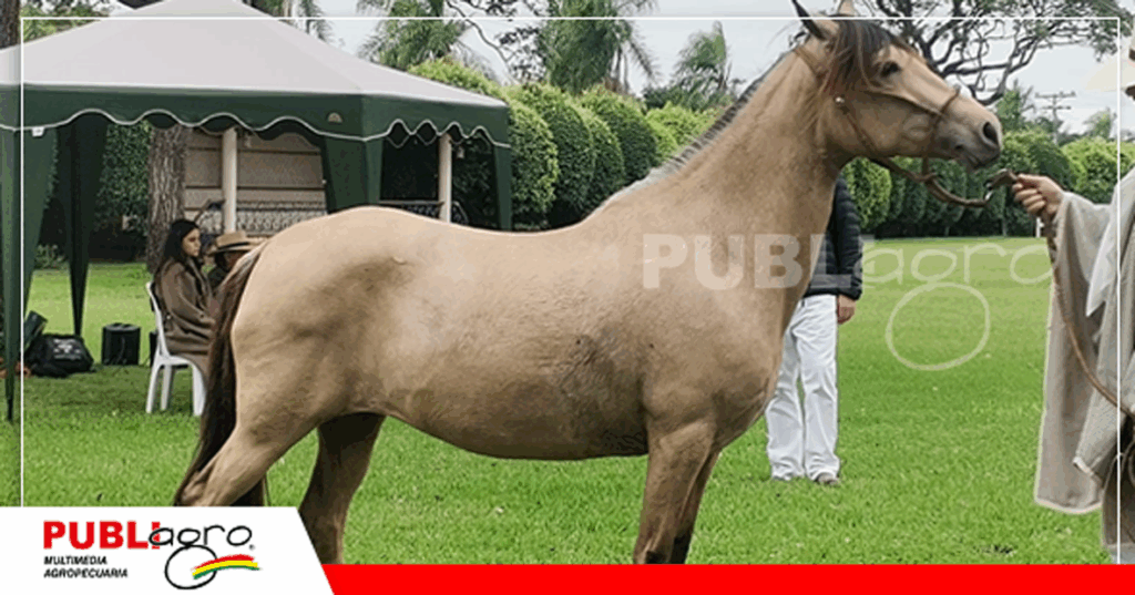 Foto: Publiagro