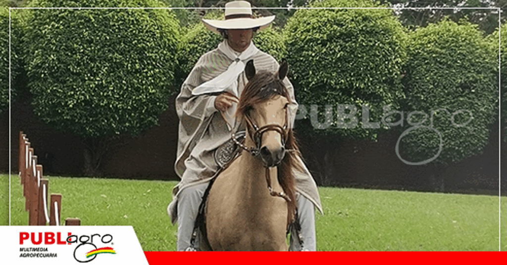 Foto: Publiagro