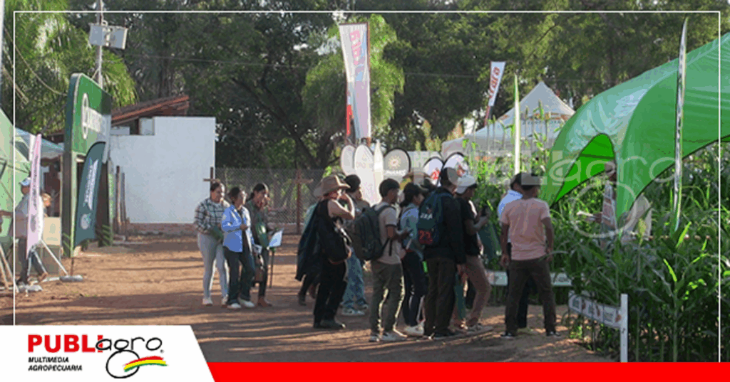 Foto: Publiagro