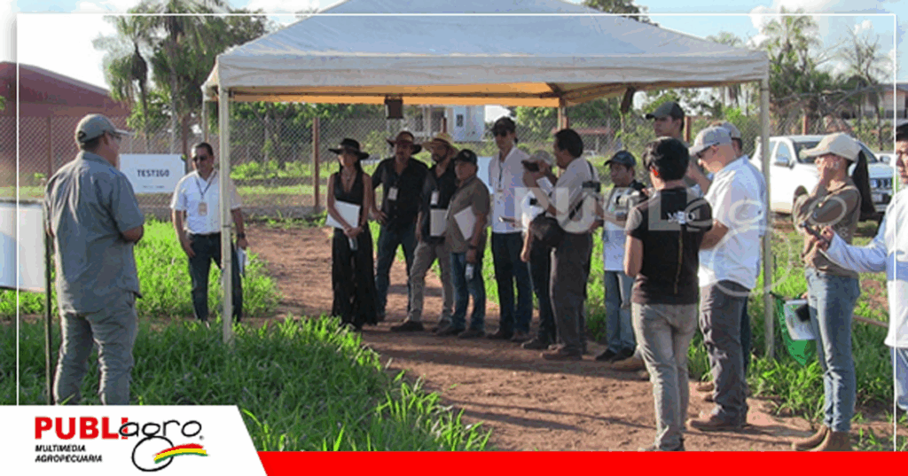 Hubo mucho interés de los visitantes por conocer las variedades de pasto y sorgo/ Foto: Publiagro