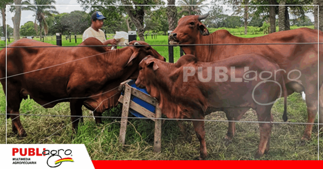 18 Foto: Publiagro