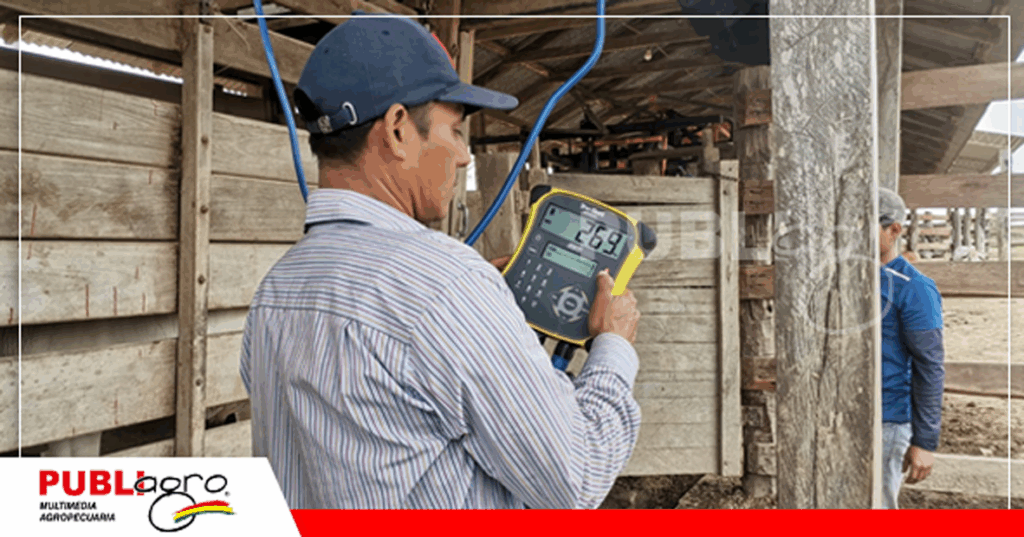 Pesaje preciso de los animales con Tru- Test/ Foto: Publiagro