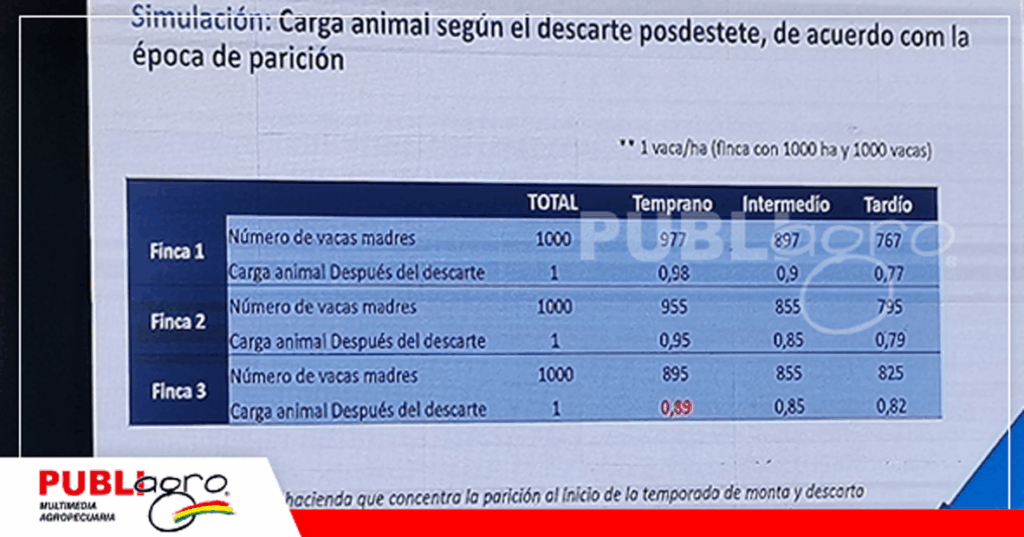 Foto: Publiagro