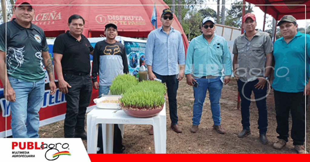 Foto: Publiagro