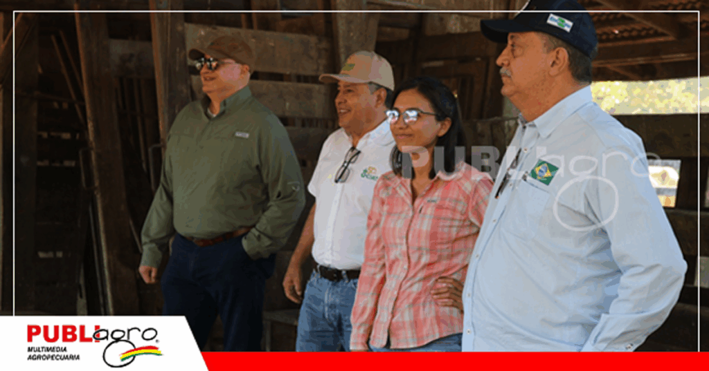 Personal del CIAT y de Geneplus Embrapa/ Foto: Publiagro