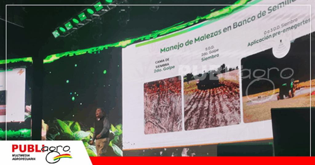 Foto: Publiagro